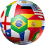 Copa do Mundo Info7 - 2022