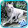 Wolf Attack Sim 3D - Wolf Game icon