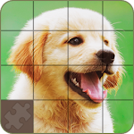Puzzle - Dogs and Puppies Apk