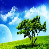 3D sky and tree icon