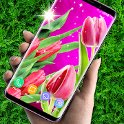 Tulips Live Wallpaper ? Spring Wallpapers