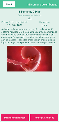 Vista previa de la aplicación