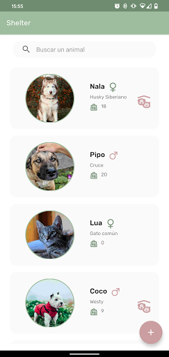Shelter Screen 3