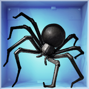 Spider Pet - Creepy Widow