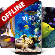 Fishes on offline wallpapers