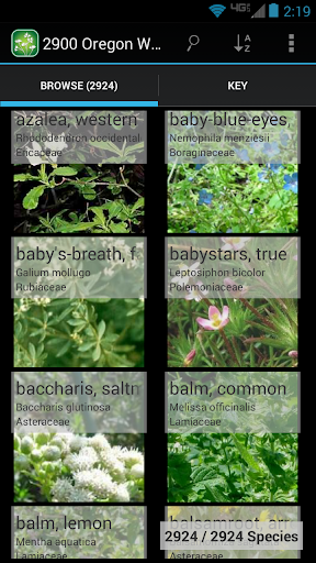 Android application Montana Plants screenshort
