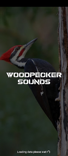 Android application woodpecker sounds screenshort