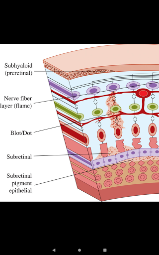 Atlas of Emergency Medicine 5E Screenshot