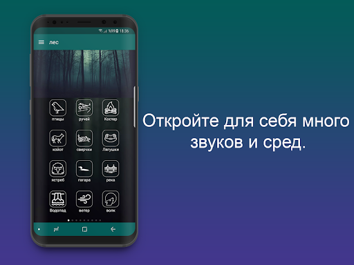 Предварительный просмотр приложения