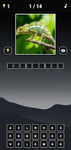 Animal Quiz: Guess the Animal - Apps on Google Play