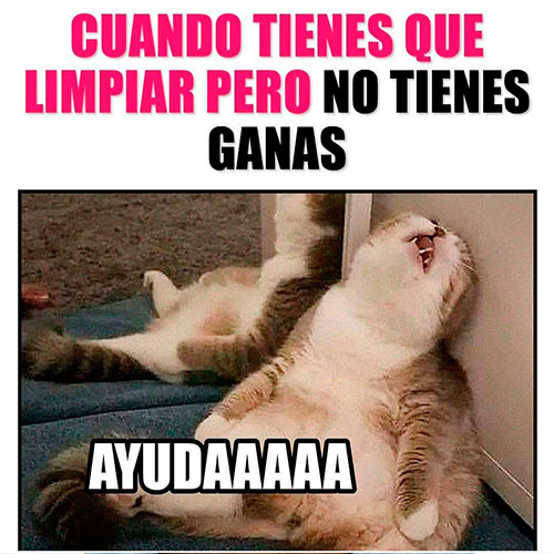 Imagenes chistosas con frases Screen 3