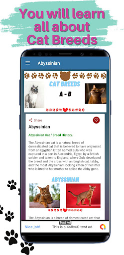 Guide for Cat Breeds