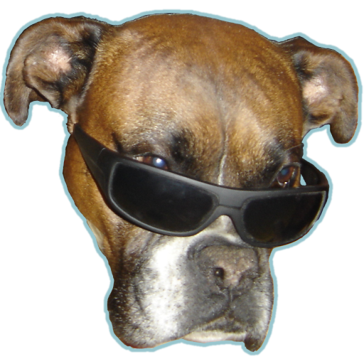 Dog vision logo