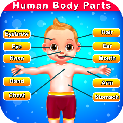 Части тела для дошкольников. Человек части тела для дошкольников. Игры на изучение частей тела. Игра части тела для детей.
