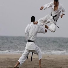 Karate Shotokanのおすすめ画像3