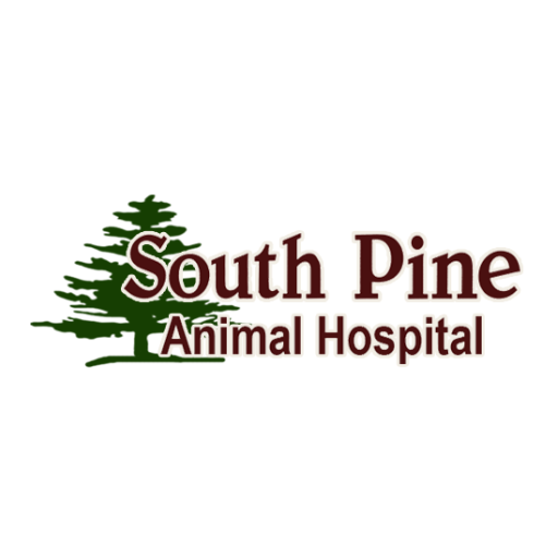 South Pine Animal Hospital 300000.3.34 Icon