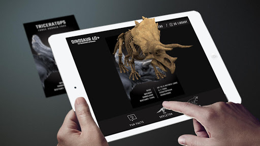 Screenshot of Dinosaur 4D+