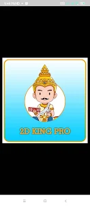 2D King Pro