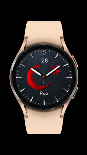 Pars Turkey Analog Watch Face Screen 2