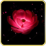 Luminous Flowers icon