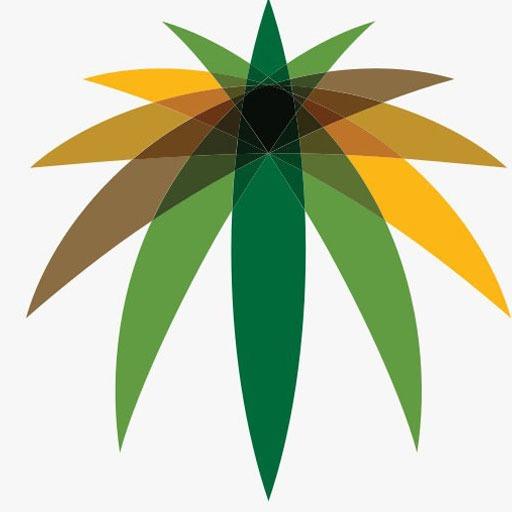 منصة جسور Download on Windows