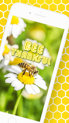 Thank You Cards GIFs Screen 2