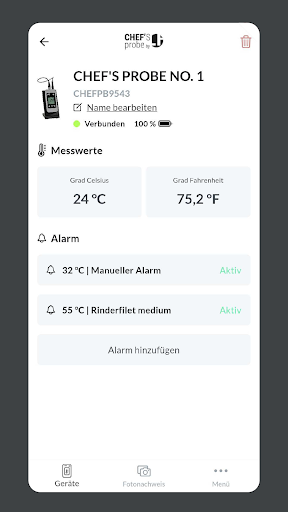 CHEFS probe - by Ludwig Heer