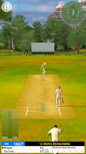 Cricket Megastar 1.8.0.139 screenshots 2