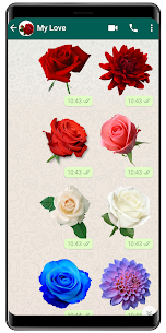 New WAStickerApps Flowers 🌹Roses Stickers 2020 1