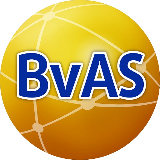 BVL QTTS 1.0 Icon