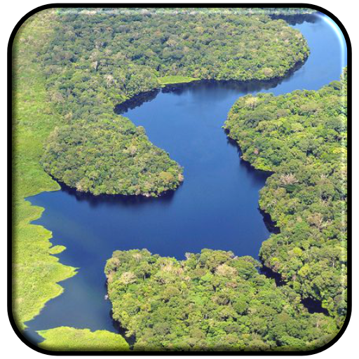 Amazon River Wallpaper