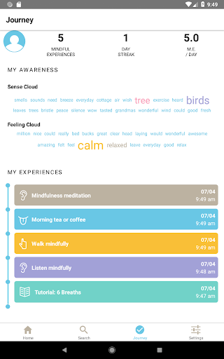 Present Sense Mindfulness Jou