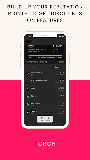 Torch Wallet Screen 3