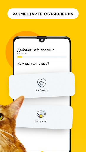 Petmode. Доска объявлений Screen 2