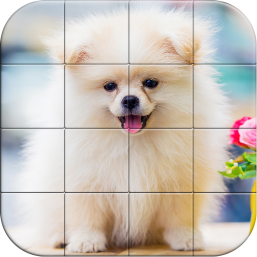 Tile Puzzle Pomeranian Dogs 1.11 Icon