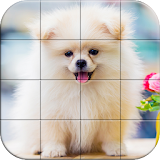 Tile Puzzle Pomeranian Dogs icon