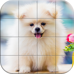 Icoonafbeelding voor Tile Puzzle Pomeranian Dogs