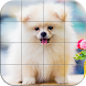 Tile Puzzle Pomeranian Dogs - Androidアプリ