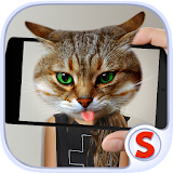 Face Scanner: What Cat 3 icon