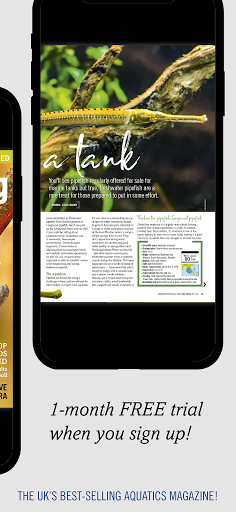Practical Fishkeeping Magazine Screen 2