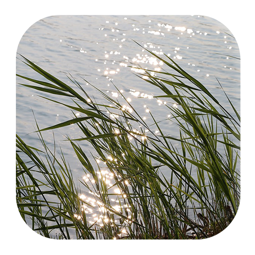 Wind Sounds logo