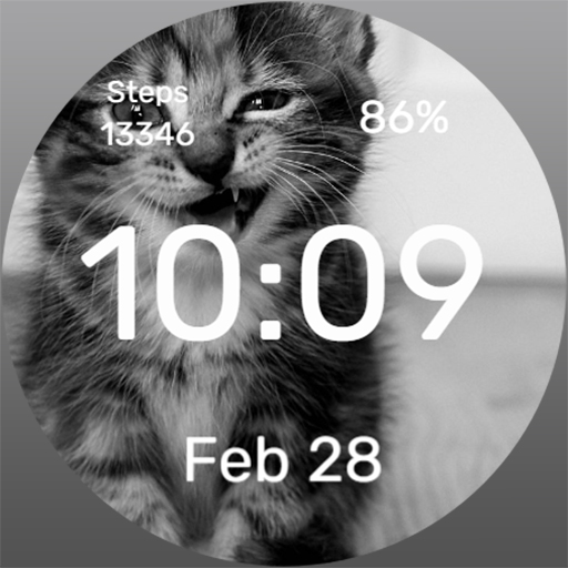 Dangerous Cat Watch Face Logo