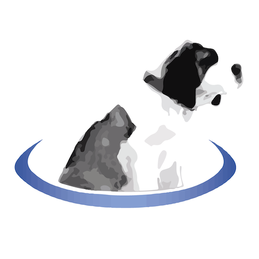 BernieMobile logo