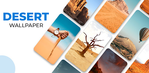 Desert Wallpaper 2025