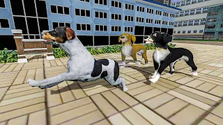 Help The Dogs - Screenshot 3