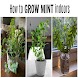 How to grow pudina at home - Androidアプリ