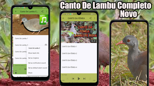Canto De Lambu Completo