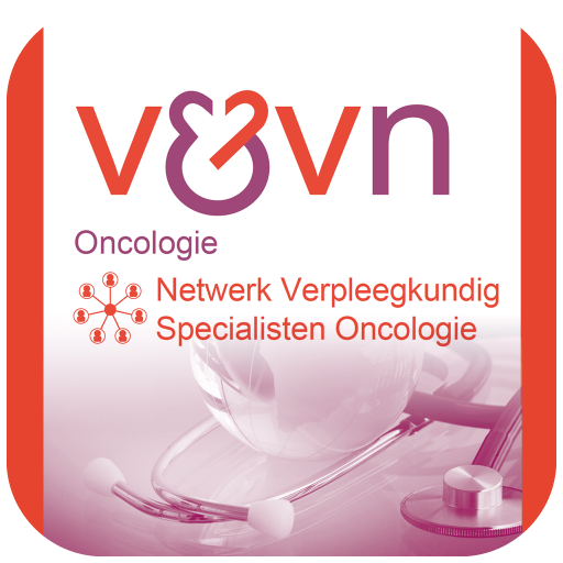 Netwerk VSO logo