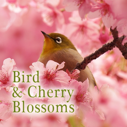 Bird & Cherry Blossoms Theme logo
