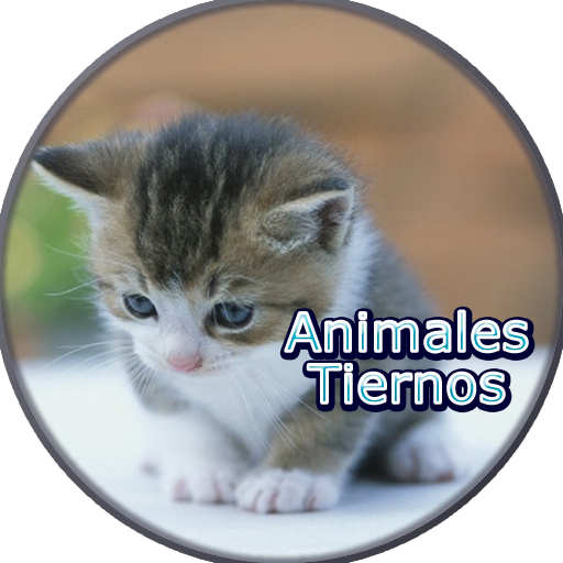 Imagenes de Animales Tiernos logo